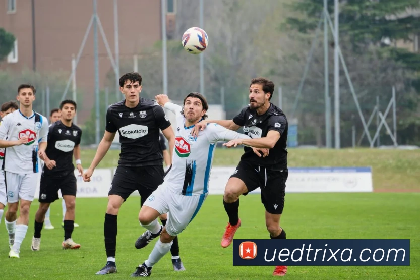 UED体育发展历程